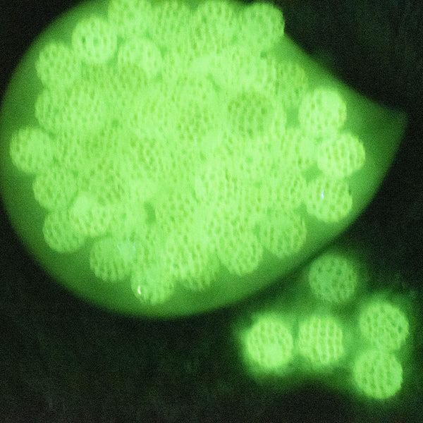 glowing view of a pile of 16mm Glow in the Dark Rhinestone AB Bubblegum Beads